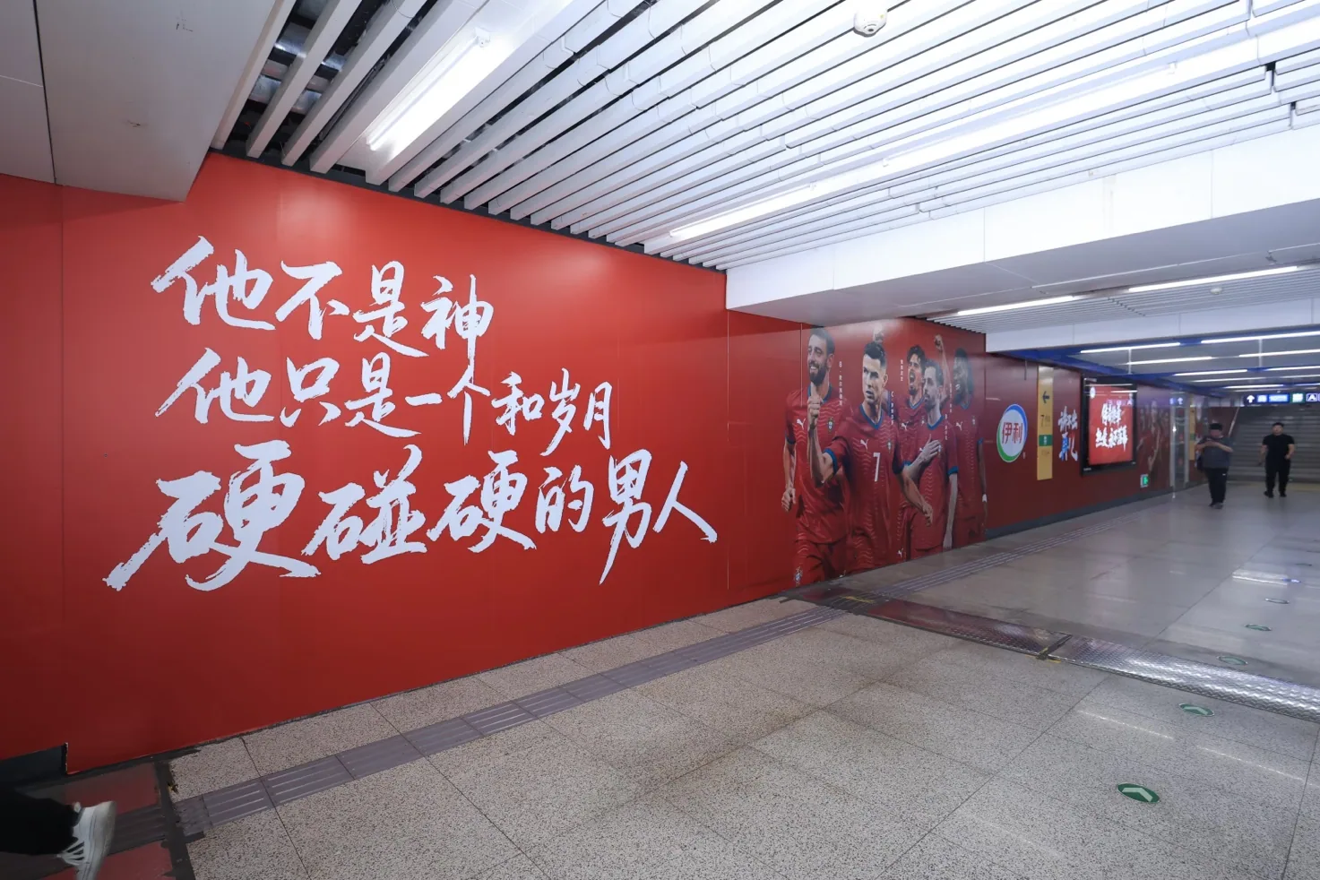 图片 5